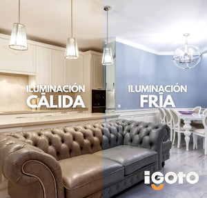 💡 iGoto Pack de 10 Focos LED A60 9W Luz Fría – Ahorra energía, ilumina con potencia