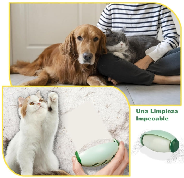 🧼“Rodillo quitapelusas reutilizable, lavable y portátil. Ideal para ropa, sofás, camas, alfombras y hasta el auto.”